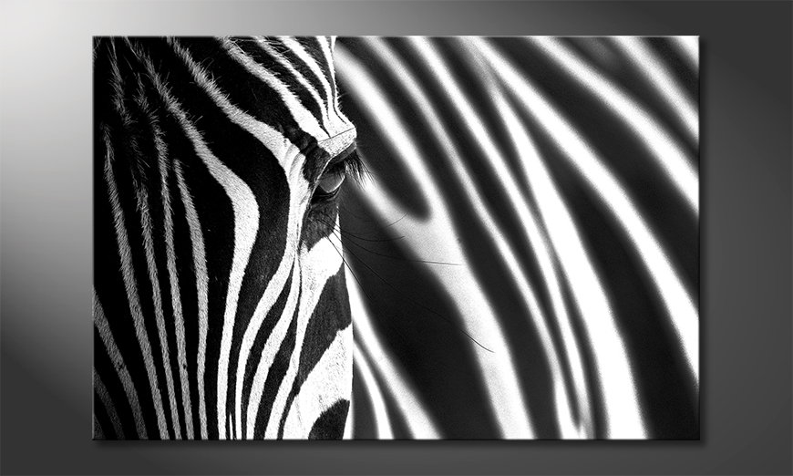 Animal-Stripes-Obraz