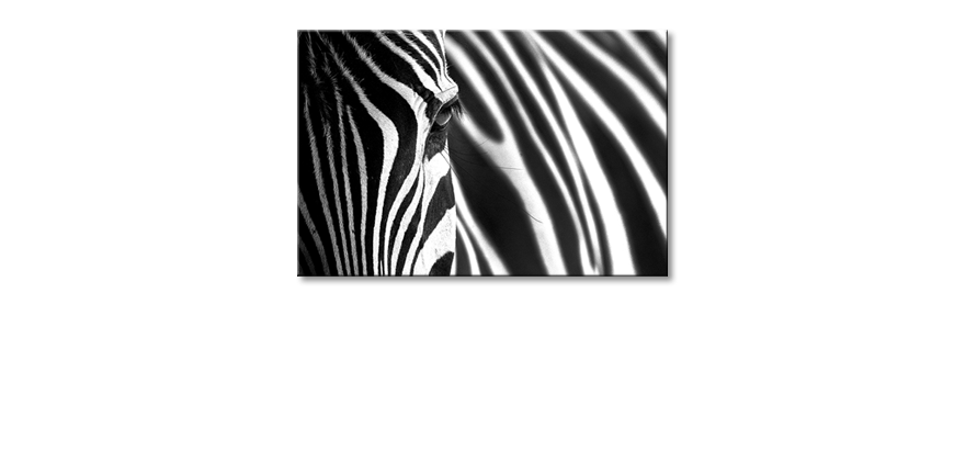 Animal-Stripes-Obraz