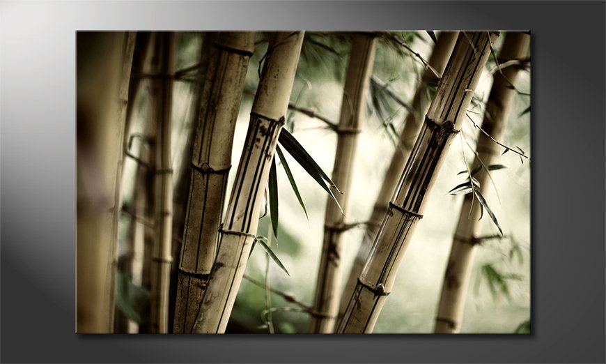 Bamboo-Forest-Obraz