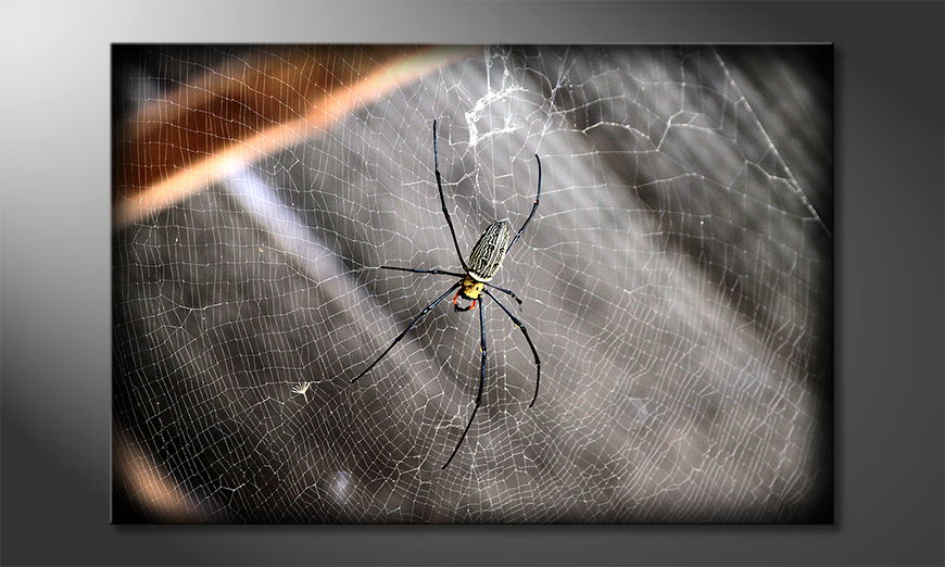 Beautiful-Spider-Obraz