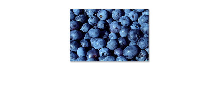 Blueberries-Obraz