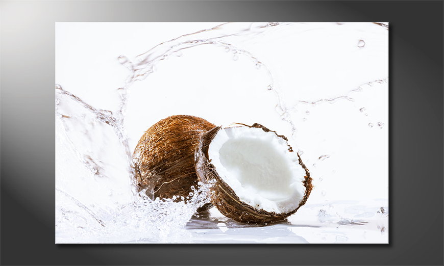 Coconut-Obraz