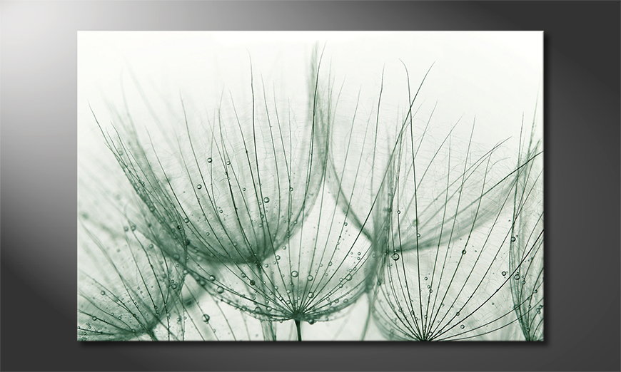 Dandelion-Detail-Obraz