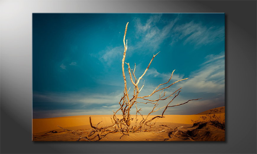 Desert-Landscape-Obraz