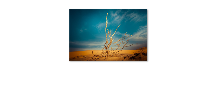 Desert-Landscape-Obraz