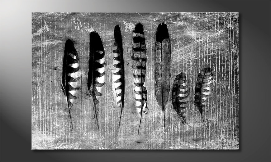 Druk-na-płótnie-Monochrome-Feathers