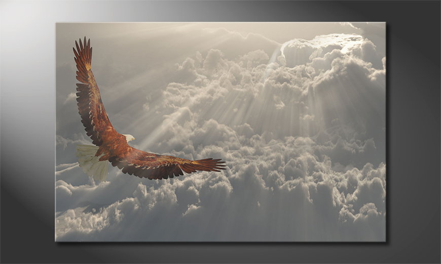Eagle-Flight-Obraz