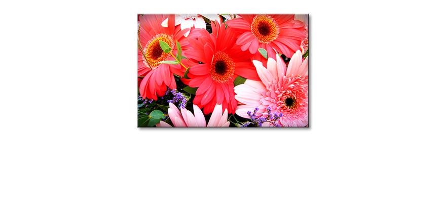 Flowery-Scent-Obraz