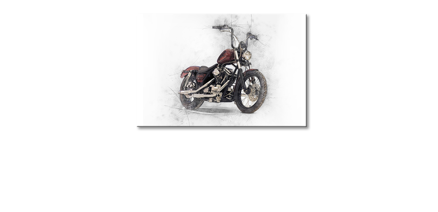 Motorbike-Obraz