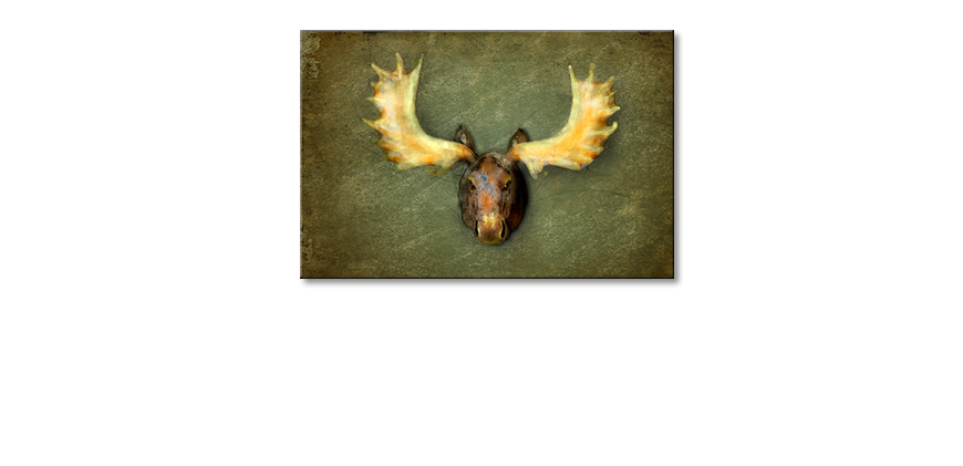Nowoczesne-obraz-The-Elk