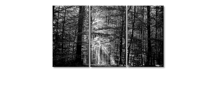 Nowoczesne-płótnie-Into-the-Forest-180x100-cm