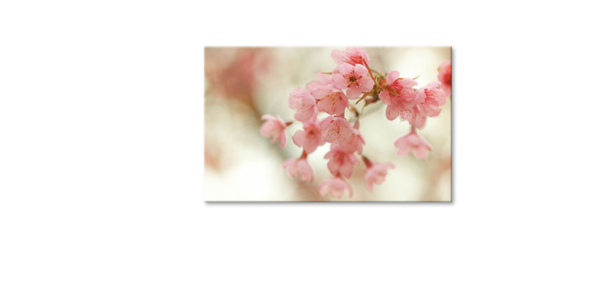 Nowoczesny-wystrój-Cherry-Blossoms-80x50-cm