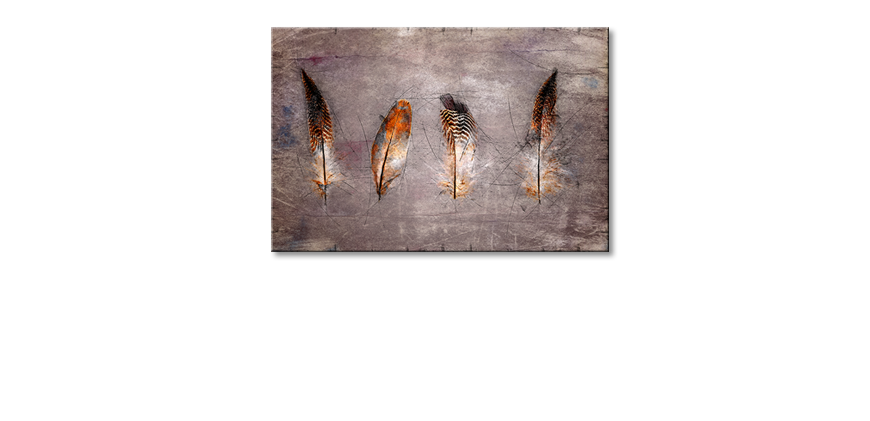 Nowoczesny-wystrój-Four-Feathers