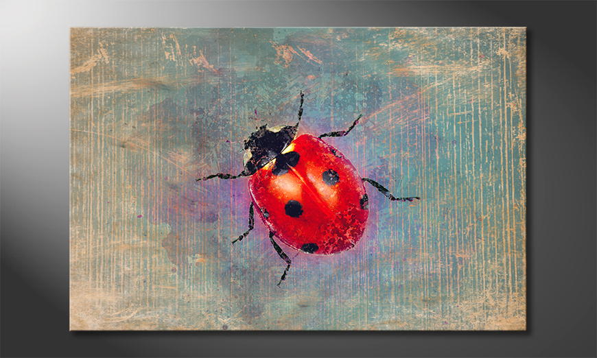Nowoczesny wystrój Ladybug 