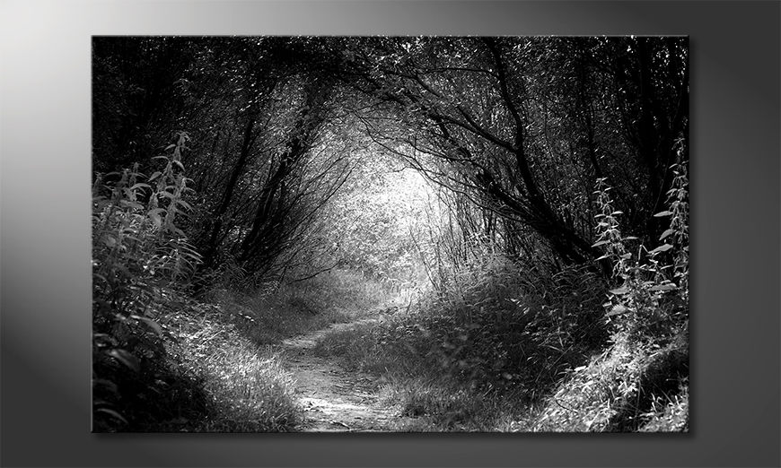 Nowoczesny-wystrój-Way-in-Depp-Forest-120x80-cm