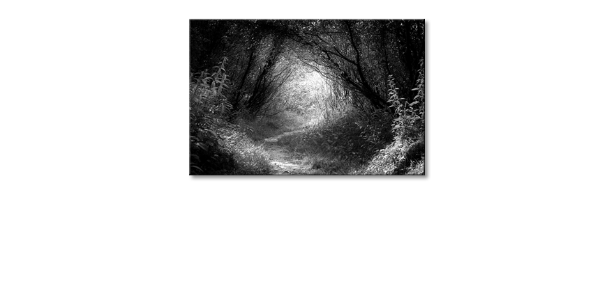 Nowoczesny-wystrój-Way-in-Depp-Forest-120x80-cm