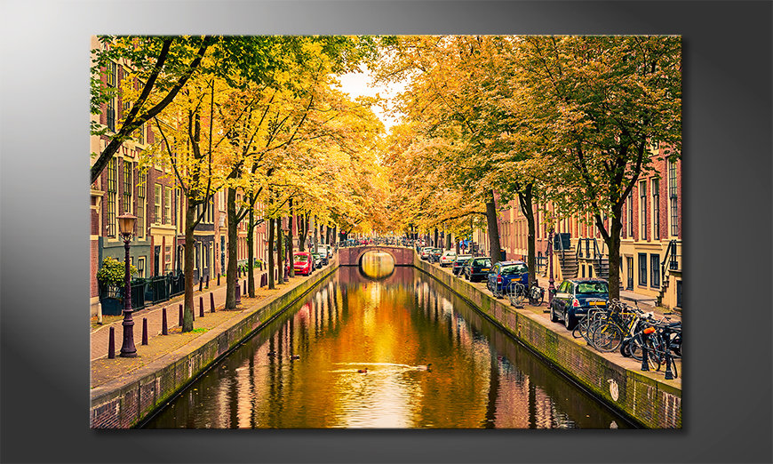 Obraz Autumn In Amsterdam