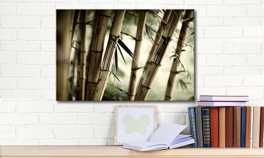 Obraz Bamboo Forest 60x40 cm