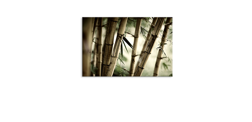 Obraz-Bamboo-Forest-60x40-cm