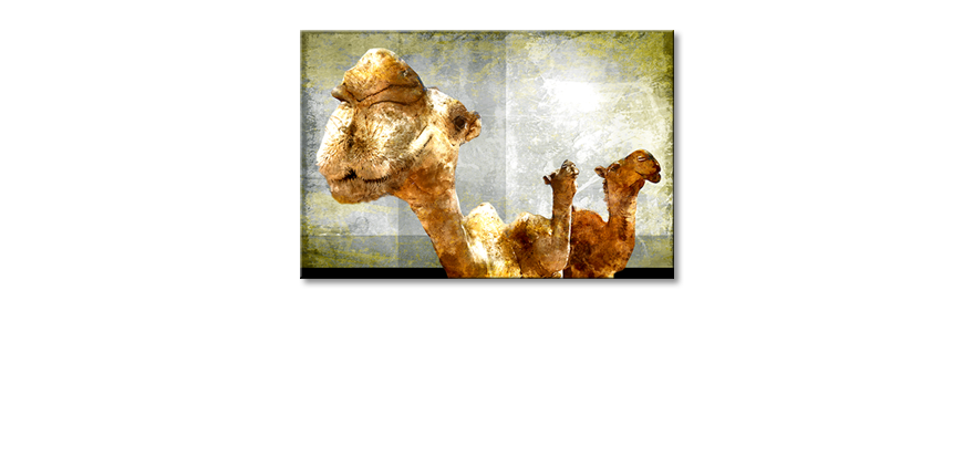 Obraz-Camel-Gang