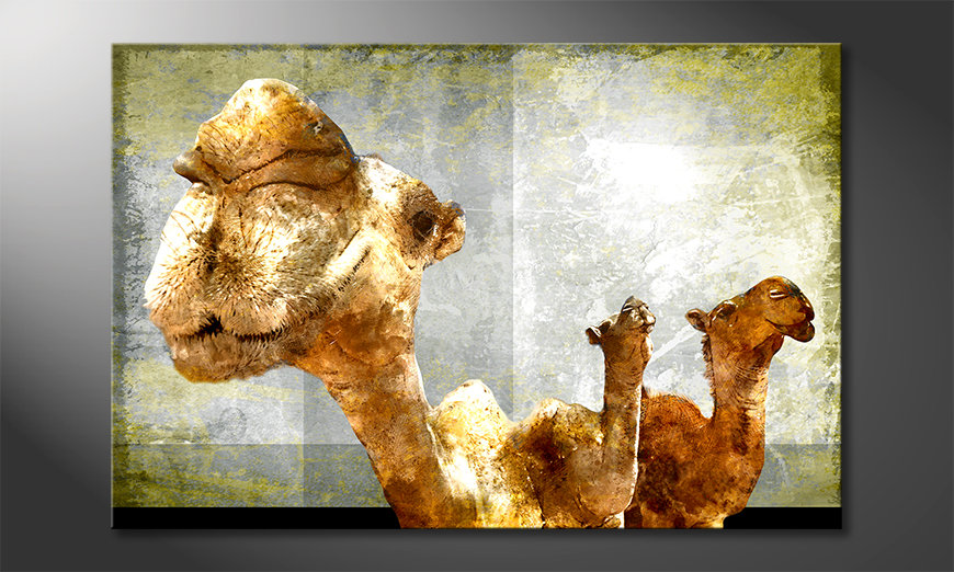 Obraz Camel Gang