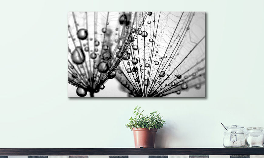 Obraz Dandelion Seeds 80x50 cm
