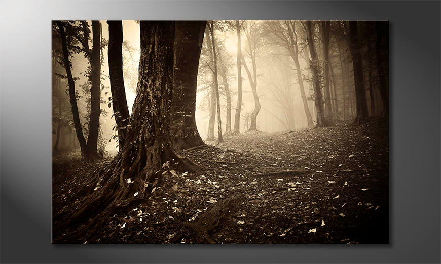 Obraz-Enchanted-Forest