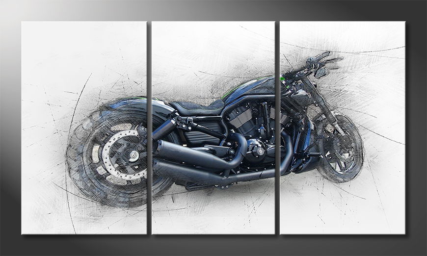 Obraz-Harley-Nr-6-180x100-cm