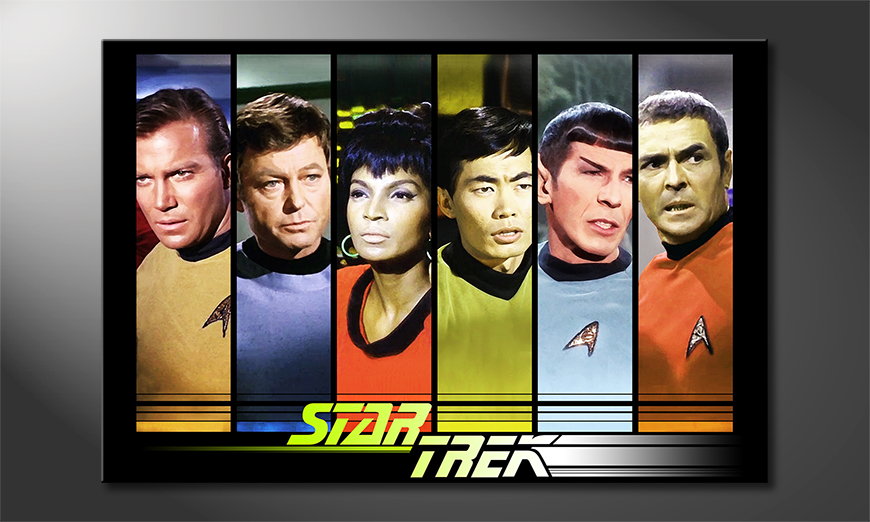 Obraz Star Trek Crew