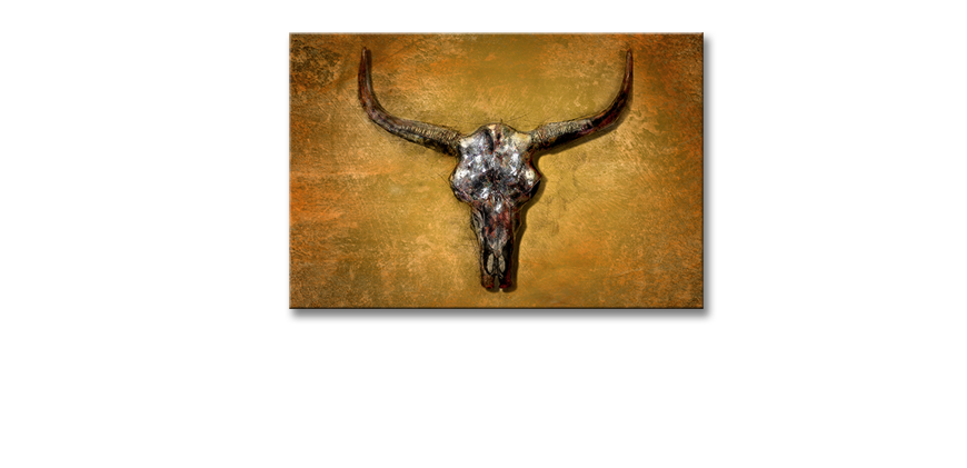 Obraz-Texas-Buffallo-60x40-cm