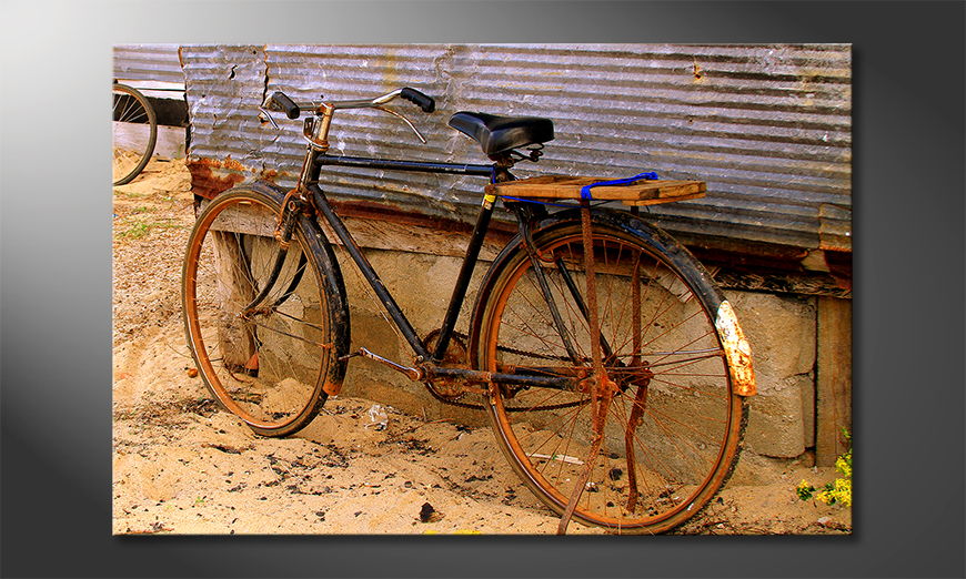 Old-Bicycle-Obraz