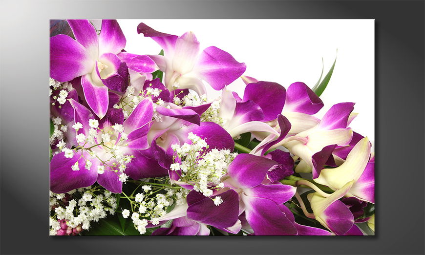 Orchid-Blossoms-Obraz