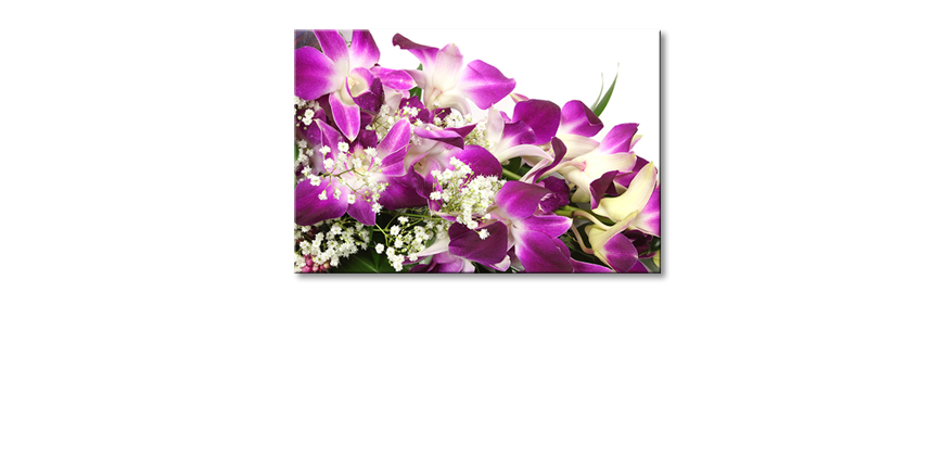 Orchid-Blossoms-Obraz