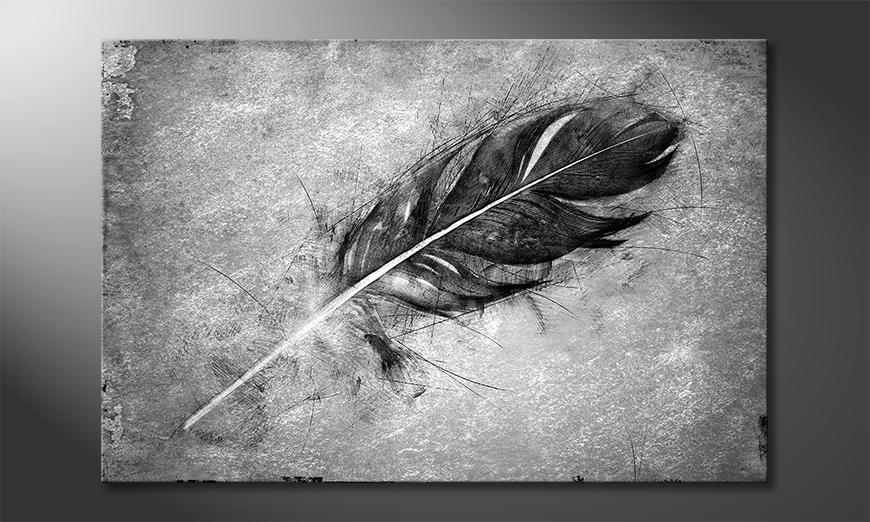 Piękny wydruk Beautiful Feather