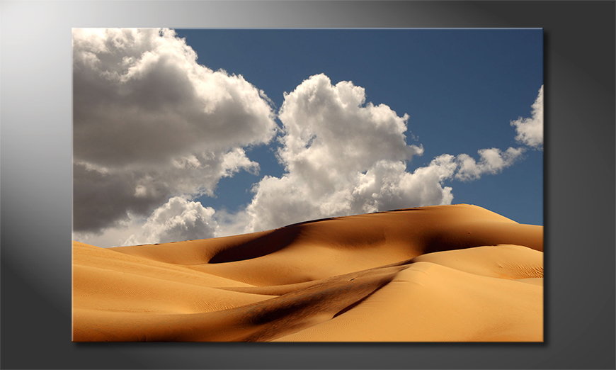 Sand Dunes Obraz