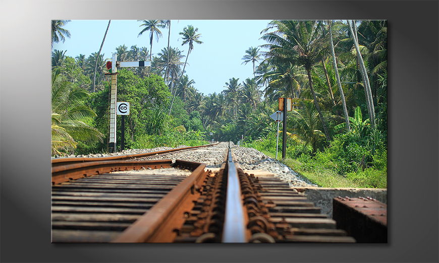 Srilankan-Rails-Obraz