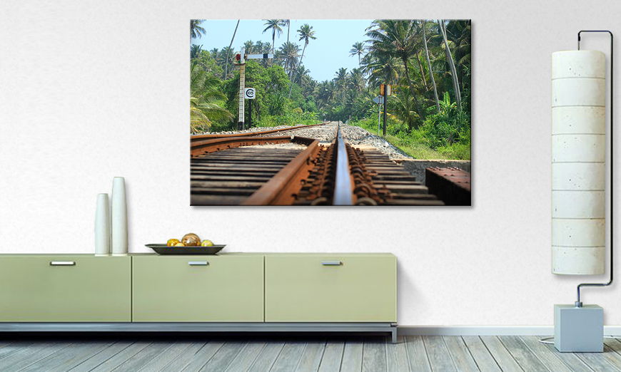 Srilankan Rails Obraz