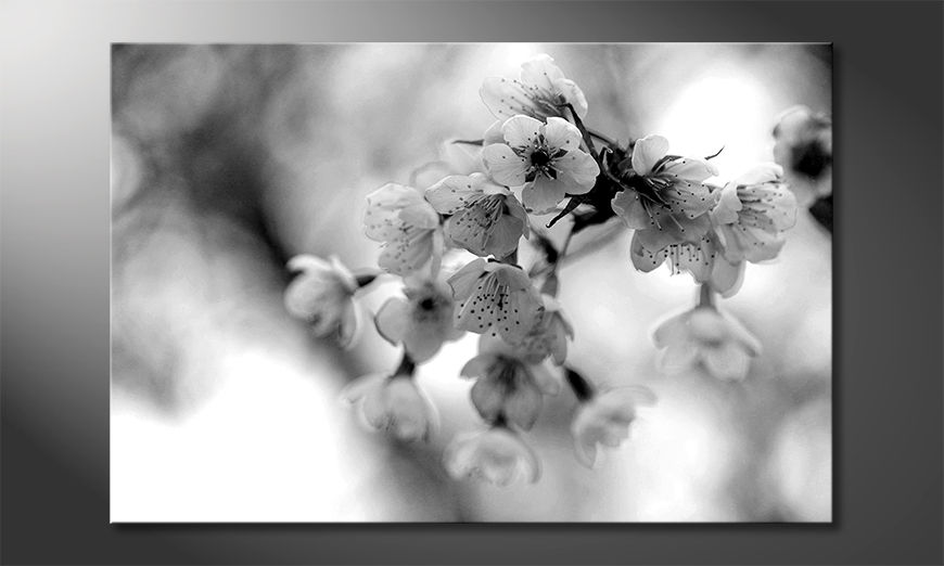 Wydrukowany-obraz-Cherry-Blossoms
