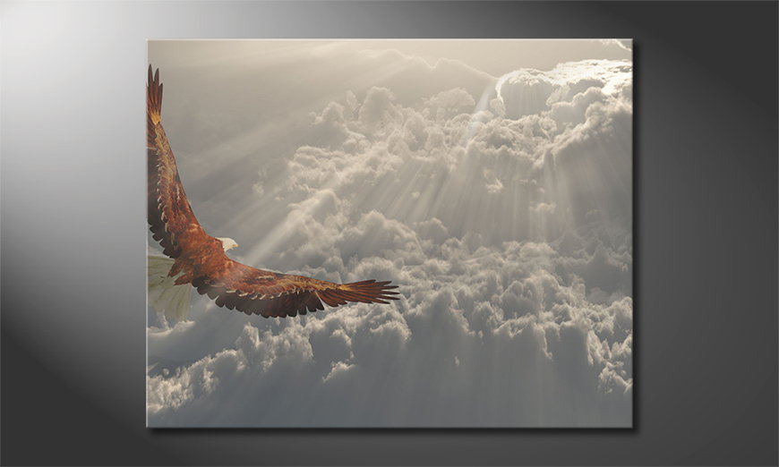 Wydrukowany-obraz-Eagle-in-Flight-100x80-cm