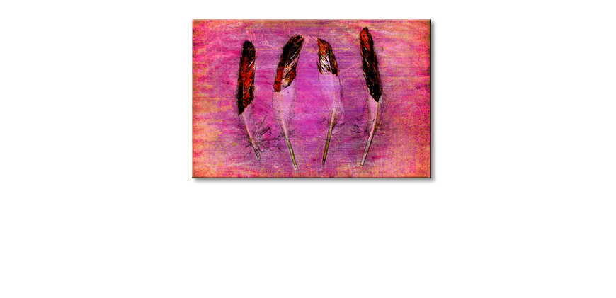 Wydrukowany-obraz-Feathers-and-Pink