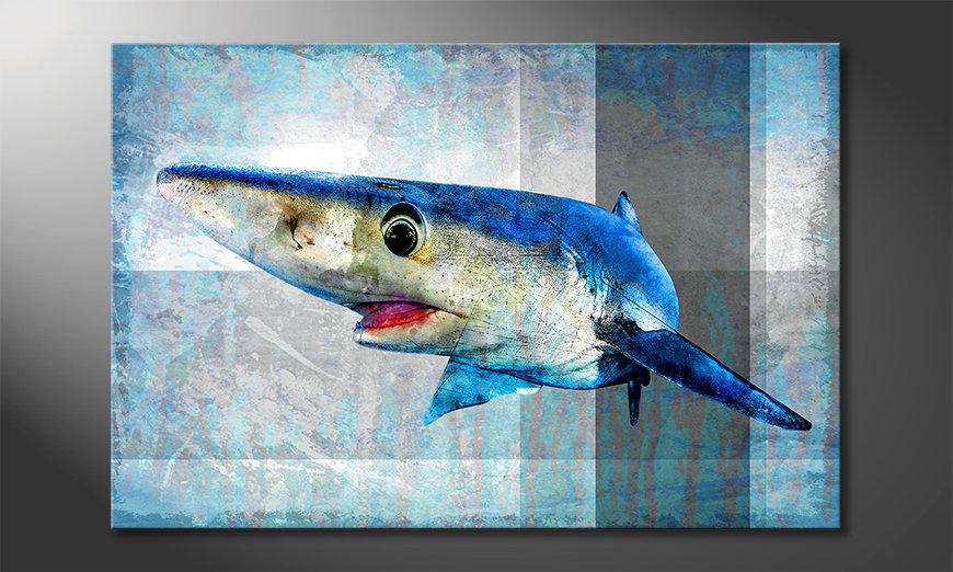 Wydrukowany-obraz-Mr-Shark