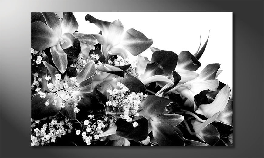 Ładne-malowanie-Orchid-Blossoms